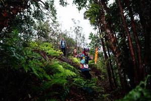 BIB: 
                            <button type="button" onclick="openModal(26204827)" class="btn btn-primary btn-sm float-right btn-popup" data-toggle="modal" data-target=".modal-high-quality">
                        <i class="fas fa-shopping-cart"></i> Add to Cart
                    </button>
                                            <button type="button" onclick="isThisMe(26204827, true)" class="btn btn-success btn-sm float-right btn-popup btn-isme hidden" data-toggle="tooltip" data-placement="bottom" title="นี่คือรูปของคุณใช่ไหม คลิกที่นี่เพื่อเอาเข้าอัลบั้ม">
                        <i class="fas fa-plus"></i> Add to album
                    </button>
                    <button type="button" onclick="isThisMe(26204827, false)" class="btn btn-warning btn-sm float-right btn-popup btn-isnotme hidden">
                        <i class="fas fa-ban"></i> Remove from album
                    </button>